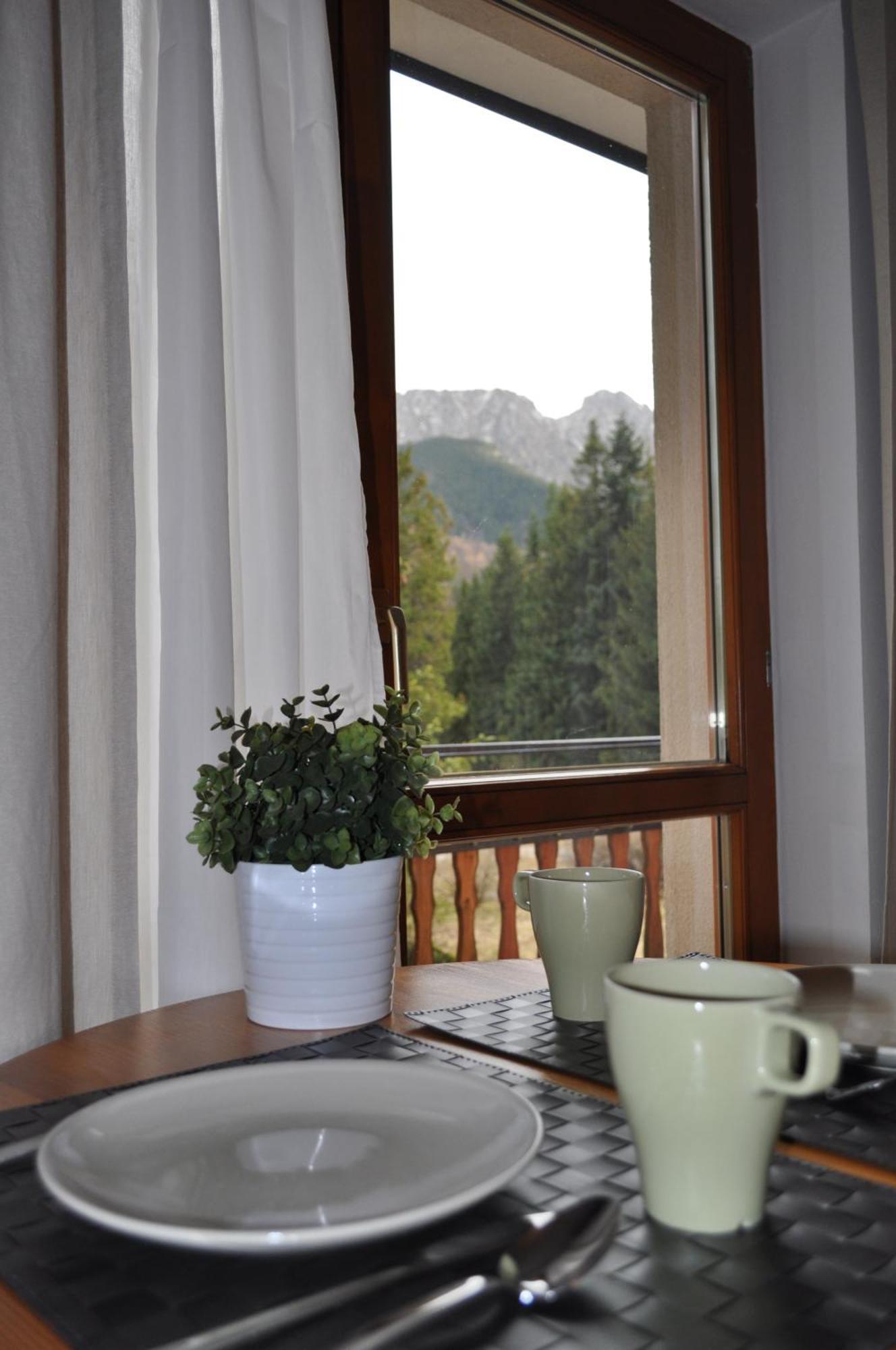Willa Otulina Pod Giewontem Zakopane Exterior foto
