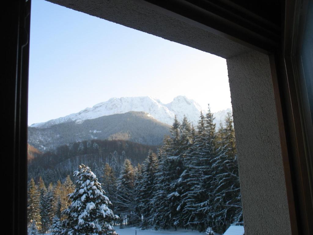 Willa Otulina Pod Giewontem Zakopane Quarto foto